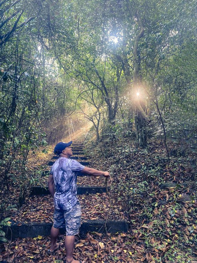 Momarco Forest Cove Tanay Luaran gambar
