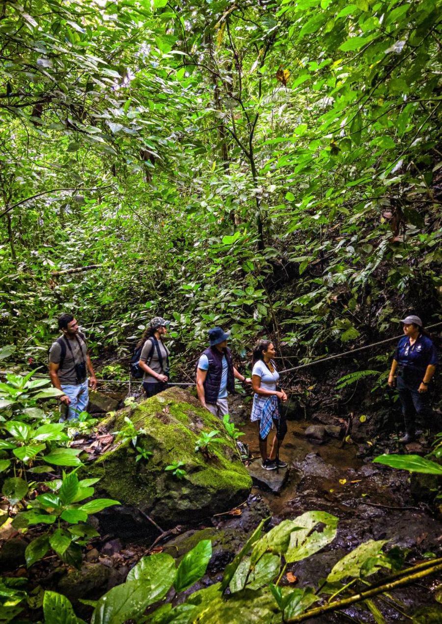 Momarco Forest Cove Tanay Luaran gambar