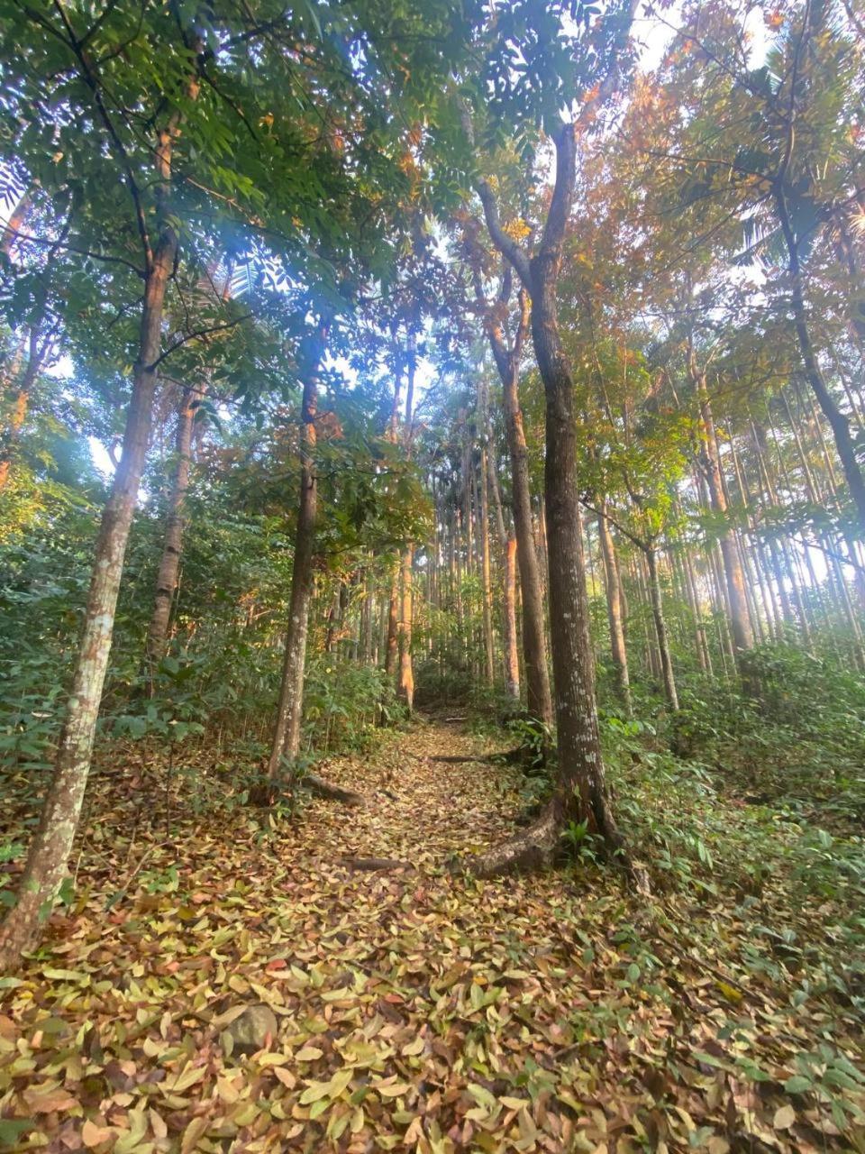 Momarco Forest Cove Tanay Luaran gambar